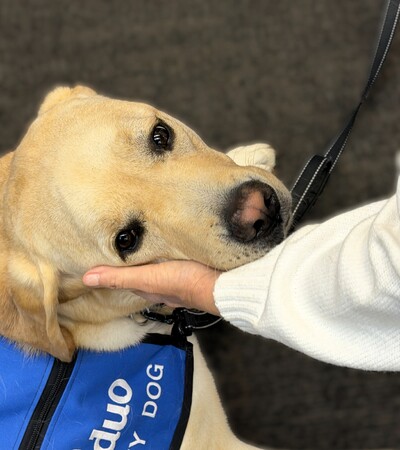 Captain provides comfort to children and adults in his role as a facility dog for the Kane County Children's Advocacy Center. Photo credits: Izabella Cyran