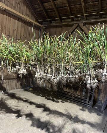 Conley Farms 3.jpg