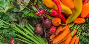 Heritage Prairie Farm in Elburn 
