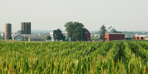 Kane County farm