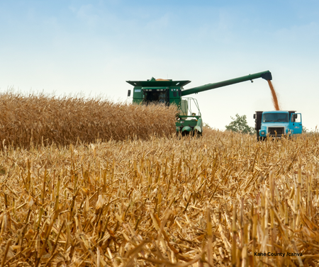This harvest reflects months of hard work and dedication, though the year has brought its share of challenges.