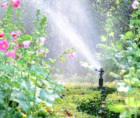 The project focuses on promoting the use of smart sprinkler systems, which can reduce outdoor water use by up to 47% while still maintaining a healthy lawn.