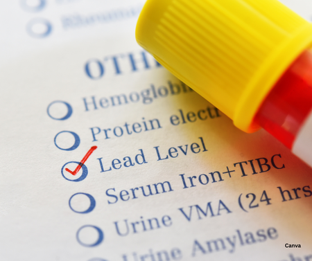 State moves closer to implementing universal childhood lead testing in 2026