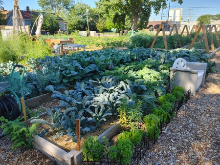 Harvesting Opportunity: Kane County’s Local Food Economy in Action 