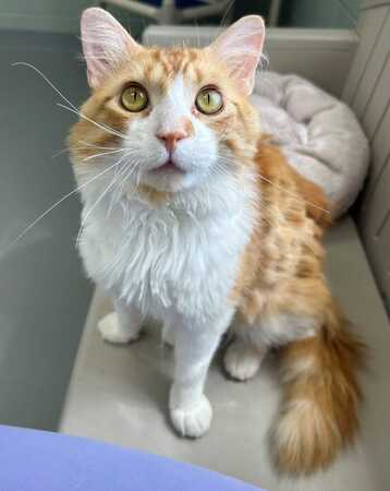Meet Dirty Dan!