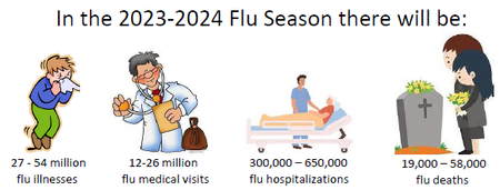 FLU GRAPHIC.png