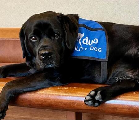 Forrest. Photo taken by Pam Ely, Mental Health Director for the Juvenile Justice Center