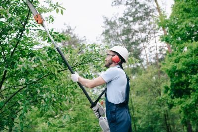 Tree trimming projects will briefly close portions of Elgin Prairie Path and the Fox River Trail in South Elgin.