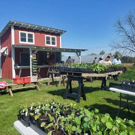 Elder Oaks Farm 2.jpg