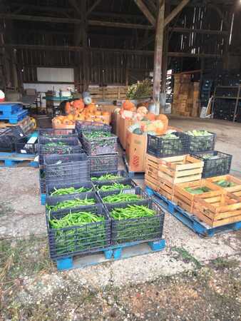 Sam the Sweetcorn Man 3.jpg