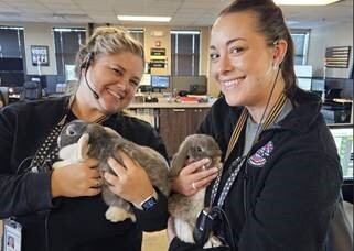 Kane County 911 staff members enjoy a 'hoppy' reunion with Autumn and Winter. 