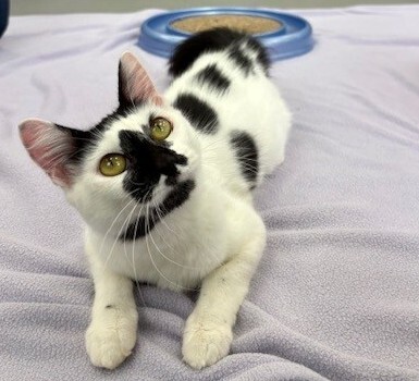 Meet Mims!