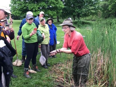Learning experiences such as this very wet wetlands field trip help participants in the Kane County Certified Naturalist program understand the connections within our local ecosystems.  Photo courtesy of Jim Mikowski