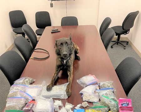 Kane County Sheriff K-9 with seizures from the Special Investigations Unit