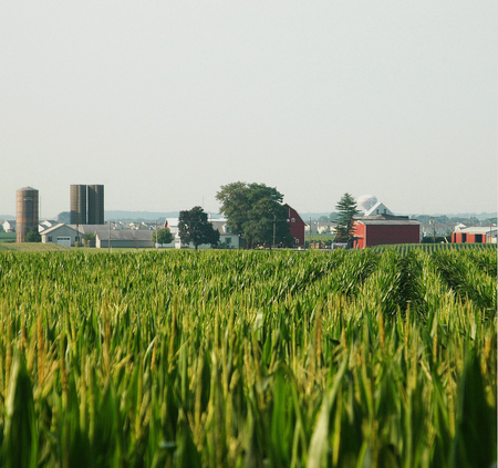 Kane County farm