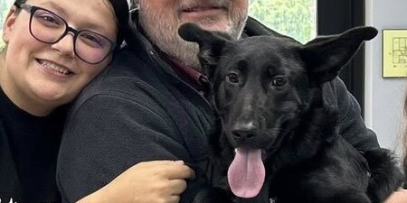 115 pets found their forever homes through adoption