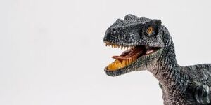 Fox Valley Mall is hosting a Dinosaur Show this Saturday with 50% of ticket sales going to the Highland Park Shooting Response Fund.