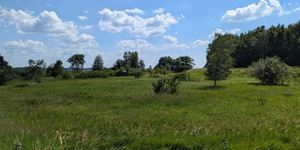 Rolling hills and wide open spaces characterize the landscape of downstate Menard County, IL.