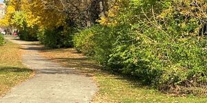 On November 12 at 10:00 a.m. a ribbon cutting and dedication will be held along a stretch of green space in honor of Philip B. Elfstrom.