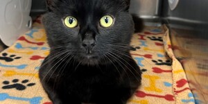Meet Randy Savage!