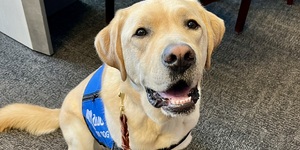 Captain provides comfort and support to children during crime investigations