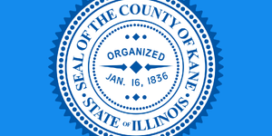 Snapshot of Vital Statistics in Kane County in 2025