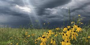 Click on the Photo to Enlarge it 