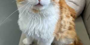 Meet Dirty Dan!
