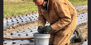 Growing for Kane - Part one