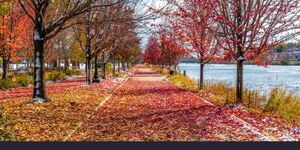 Kane County is seeking input for its first Climate Action Plan.