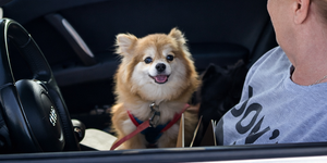 The clinics make it easier for pet owners to protect their animals and comply with Illinois law.