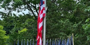 Flags posted outside the Geneva Township Offices in Wheeler Park 