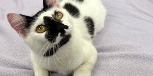 Meet Mims!