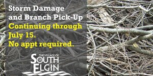 South Elgin Facebook Post