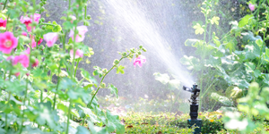 The project focuses on promoting the use of smart sprinkler systems, which can reduce outdoor water use by up to 47% while still maintaining a healthy lawn.