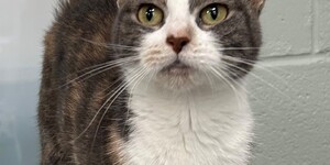 Meet Sunflower!