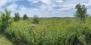 Muirhead Springs Forest Preserve in Hampshire